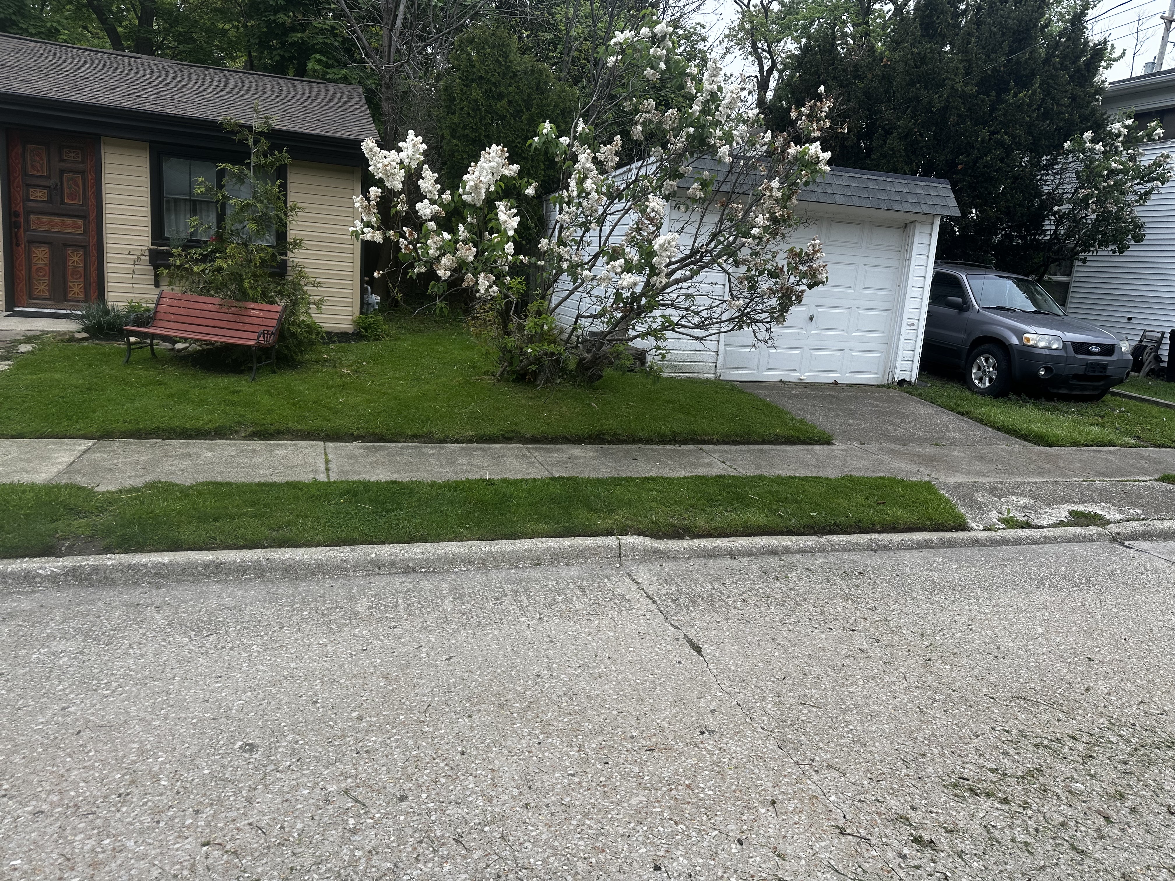 Before Image