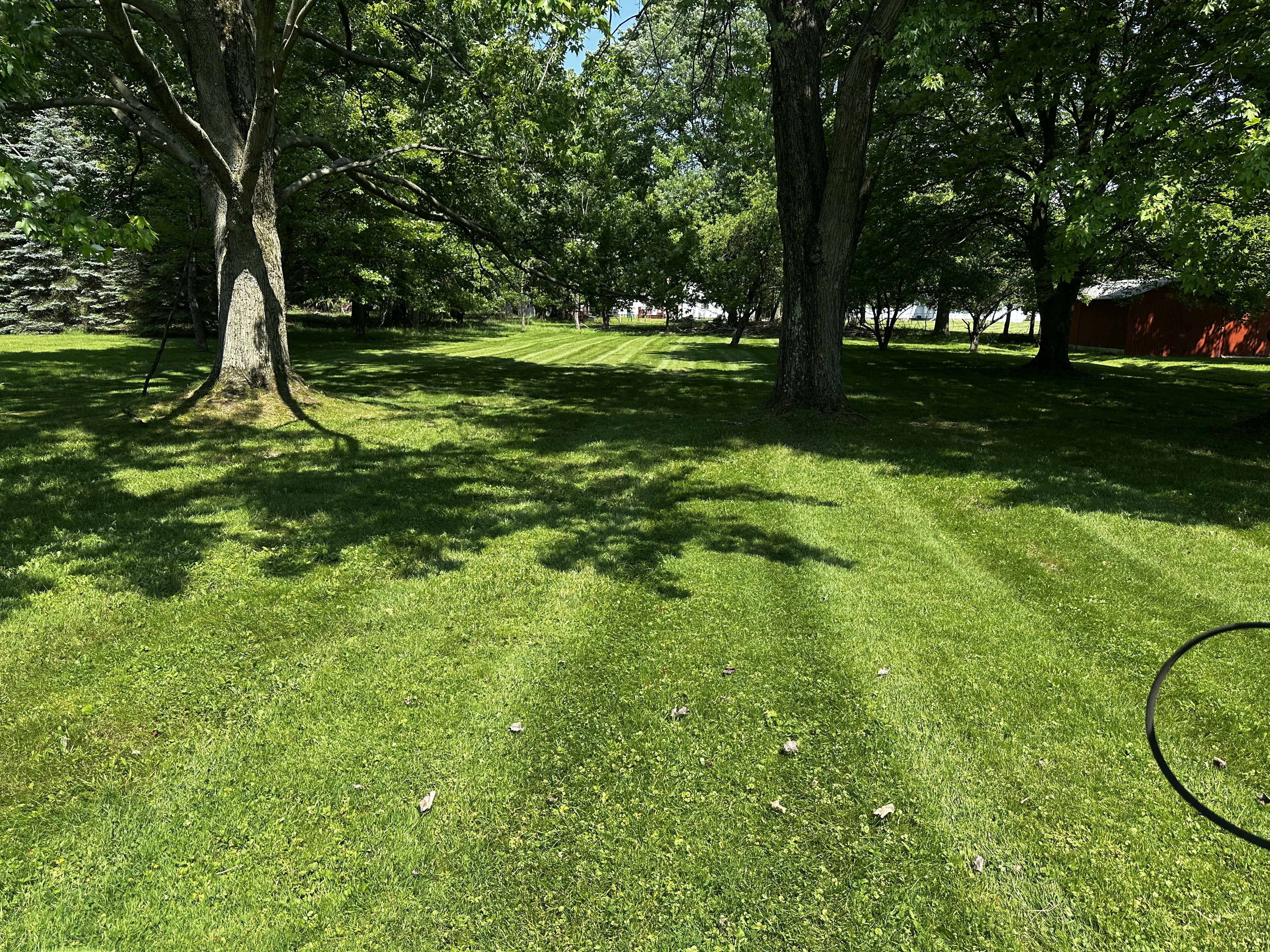 Before Image