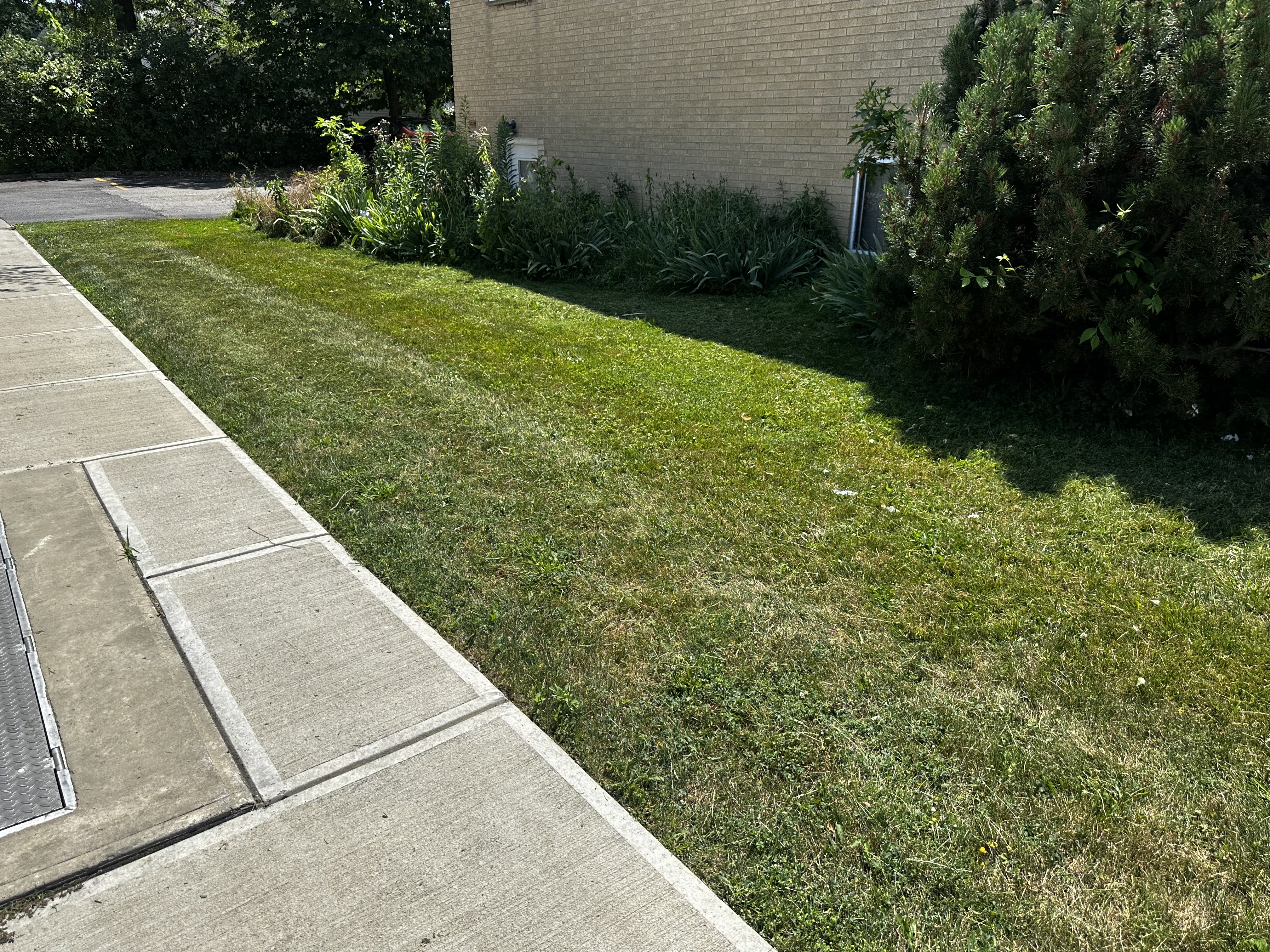 Before Image