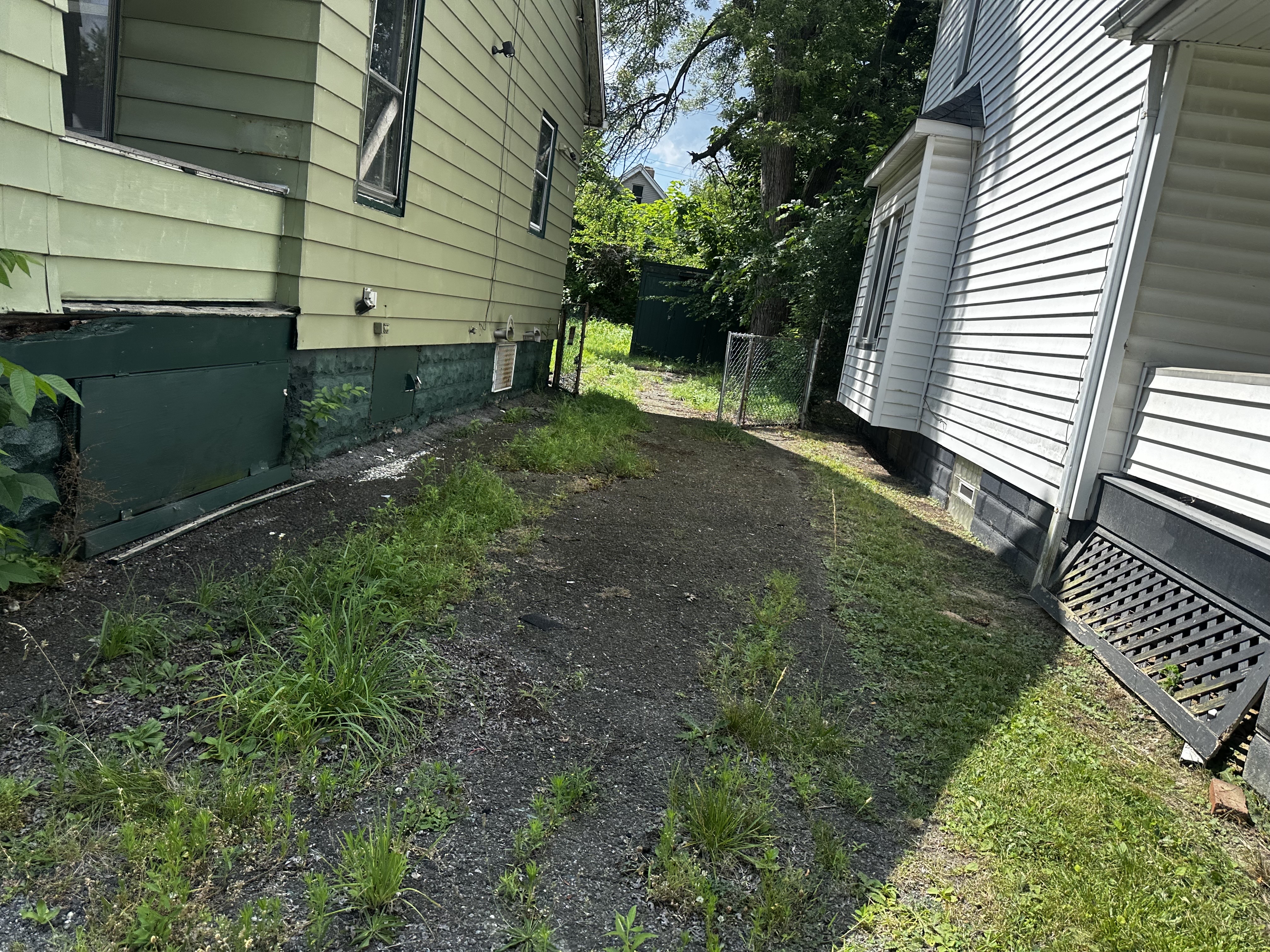 Before Image